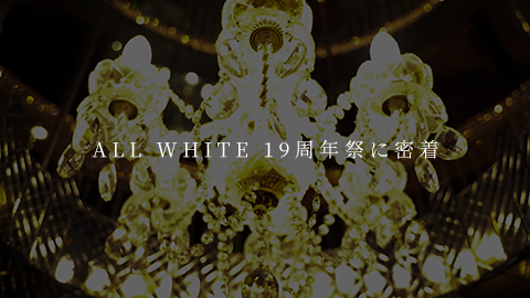 ALL WHITE 19周年祭に密着