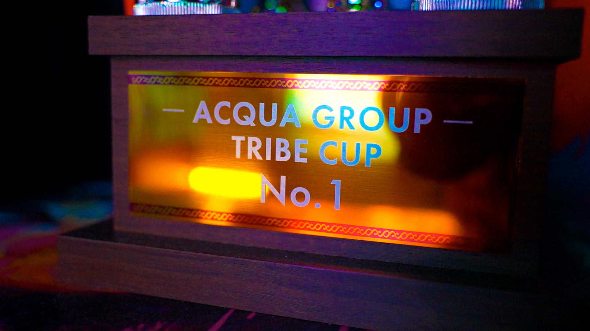 TRIBE CUP